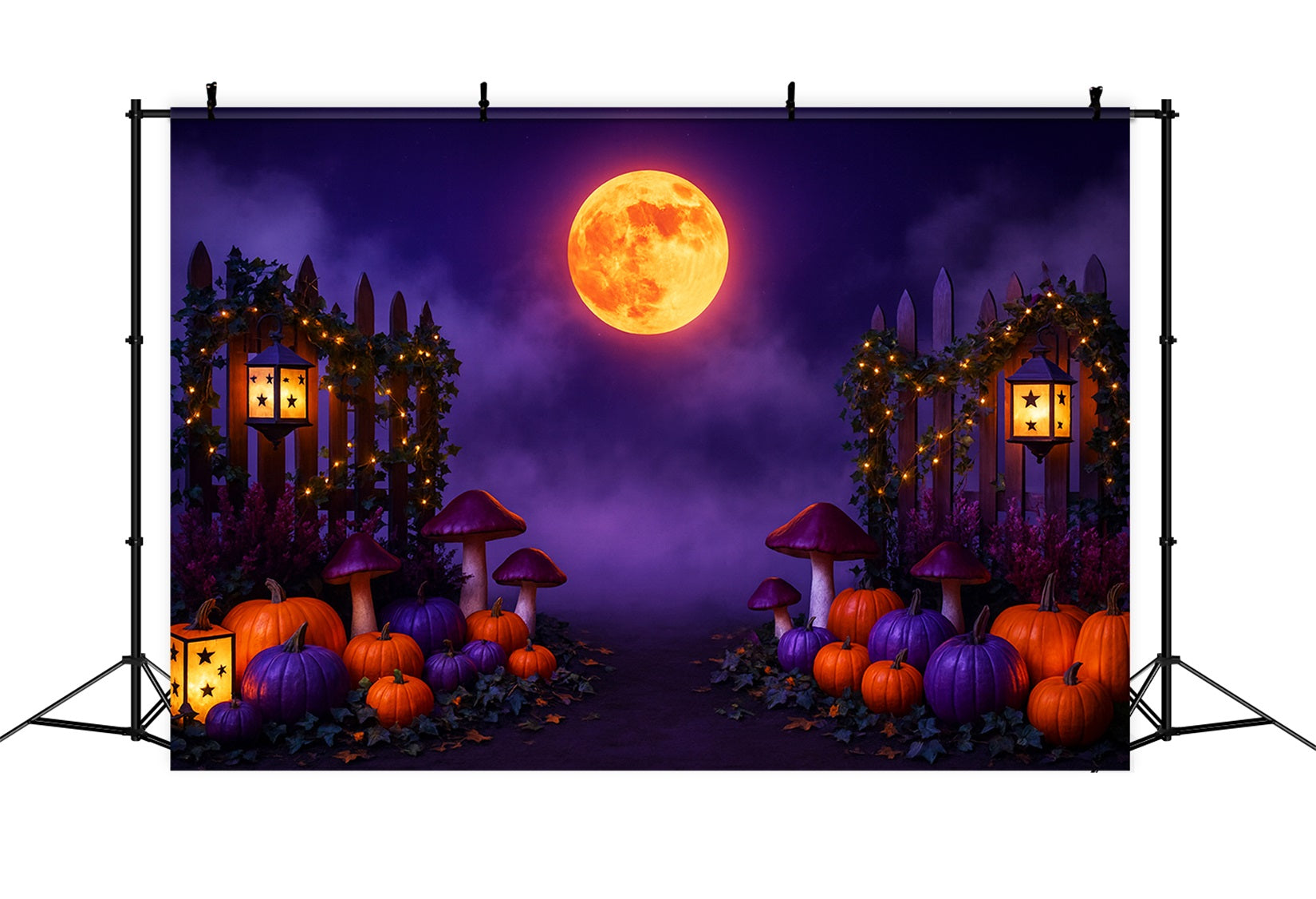 Fond citrouille Lune violette Chemin de citrouilles Fond Thanksgiving LXX510-30