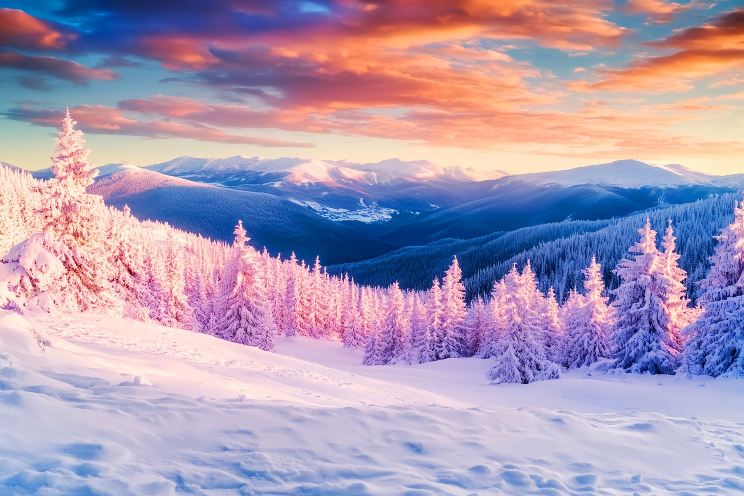 Fond montagneux hivernal Sommets dorés Vallée givrée Fonds hivernaux LXX510-93