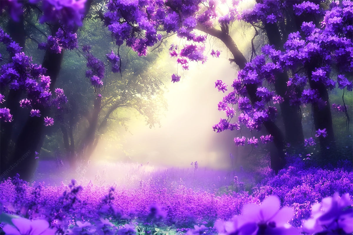 Toile de fond Forêt Photographie Rêve Mystique Violet LXX57-106
