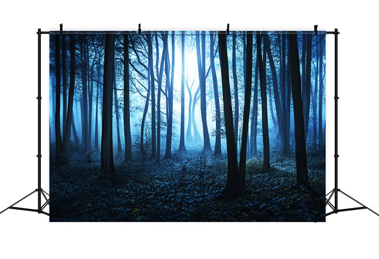 Toile de fond Forêt Sombre Brouillard Minuit Bosquet LXX57-115