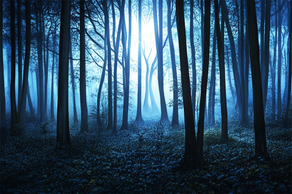 Toile de fond Forêt Sombre Brouillard Minuit Bosquet LXX57-115