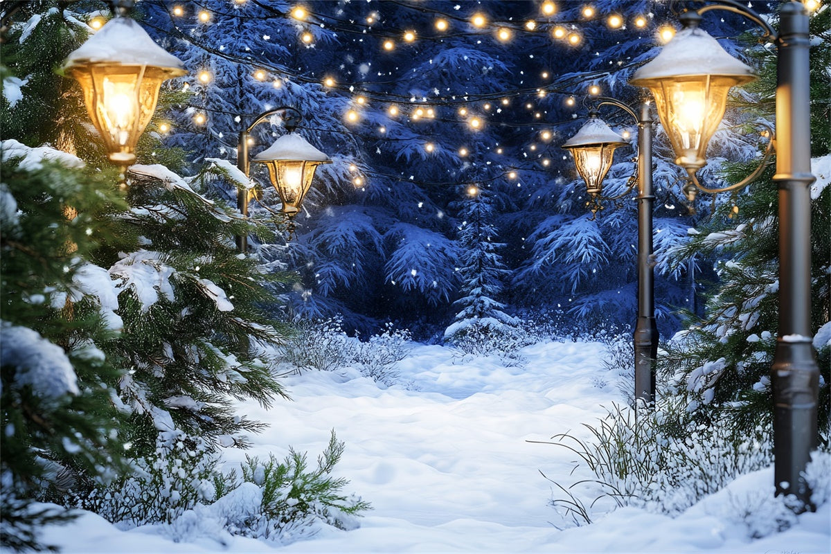 Toile de fond Forêt Neige Pins Illuminés Douillets LXX57-123