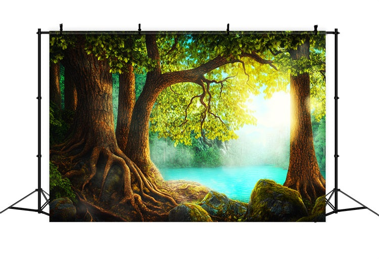 Toile de fond Photo Forêt Arbre Ancien Eaux Calmes LXX57-136