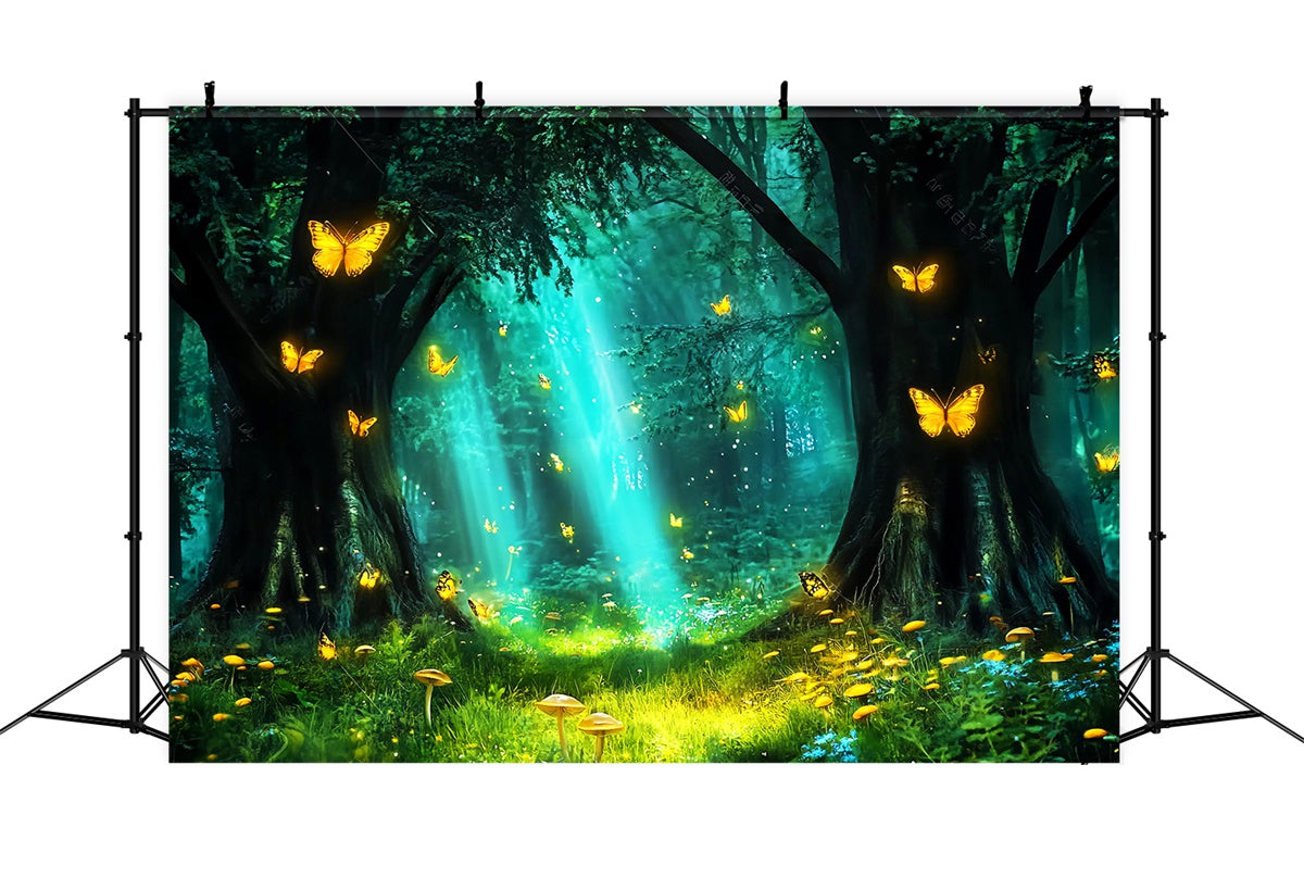 Toile de fond Photo Forêt Prairie Lueur Papillon LXX57-141