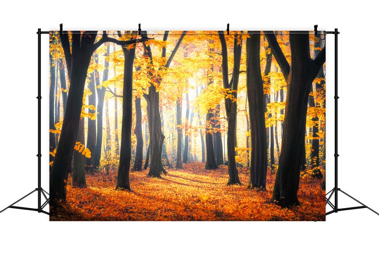 Toile de fond Automne Feuilles Rustiques Forêt LXX57-149