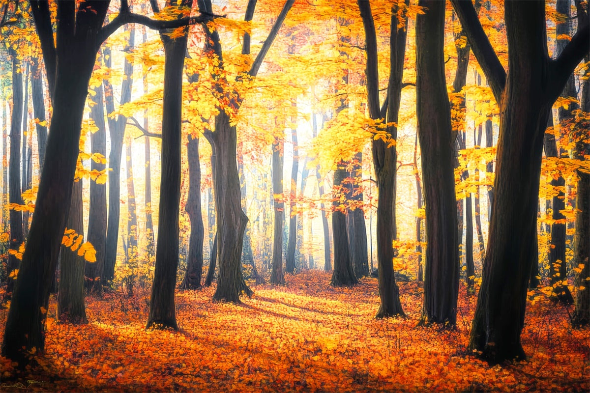 Toile de fond Automne Feuilles Rustiques Forêt LXX57-149