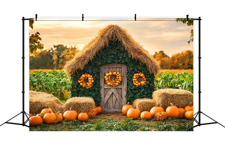 Toile de fond Photo Automne Cottage Champ Citrouilles LXX57-154