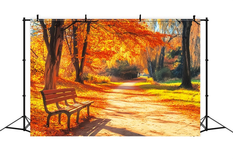 Toile de fond Photo Automne Banc Sentier Forêt LXX57-164