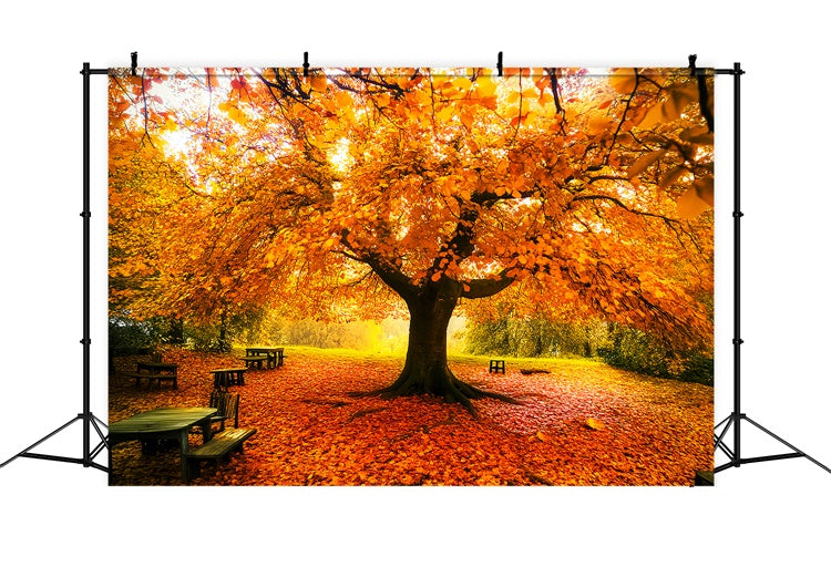 Toile de fond Déco Automne Feuilles Canopée Automne LXX57-177