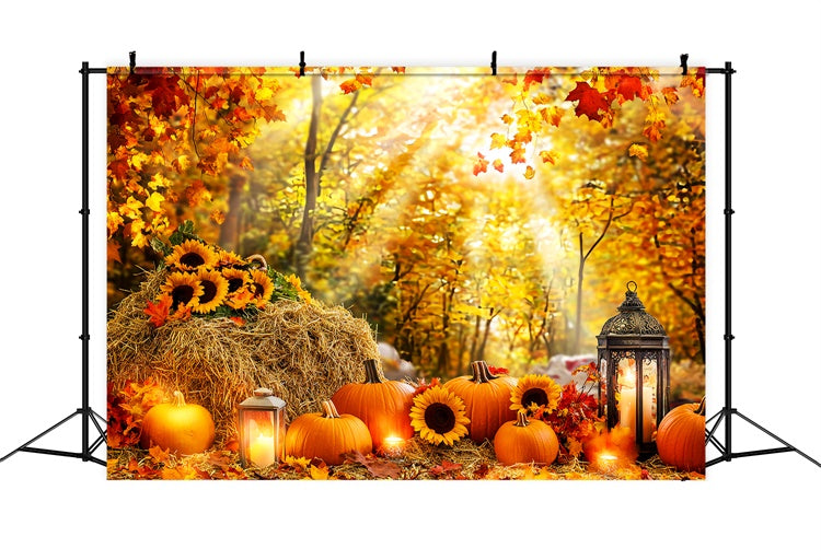 Toile de fond Automne Forêt Citrouille Lueur LXX57-178