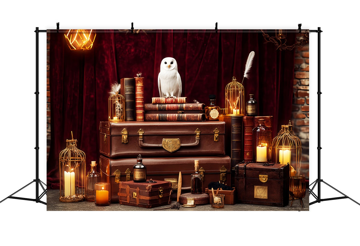 Toile de fond Vintage Rétro Hibou Mystique Livres LXX57-192