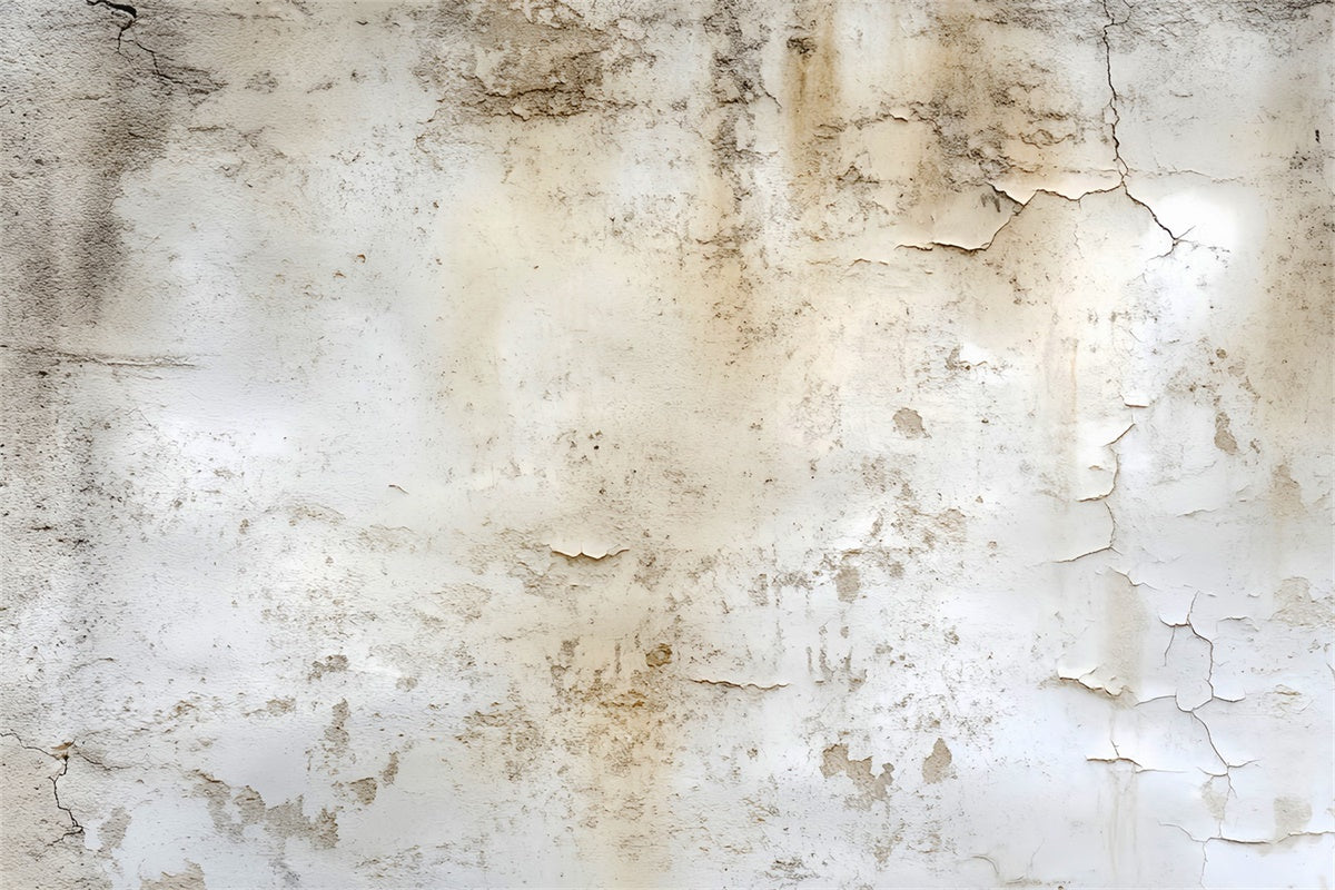 Toile de fond Vintage Mur Plâtre Fissuré LXX57-226
