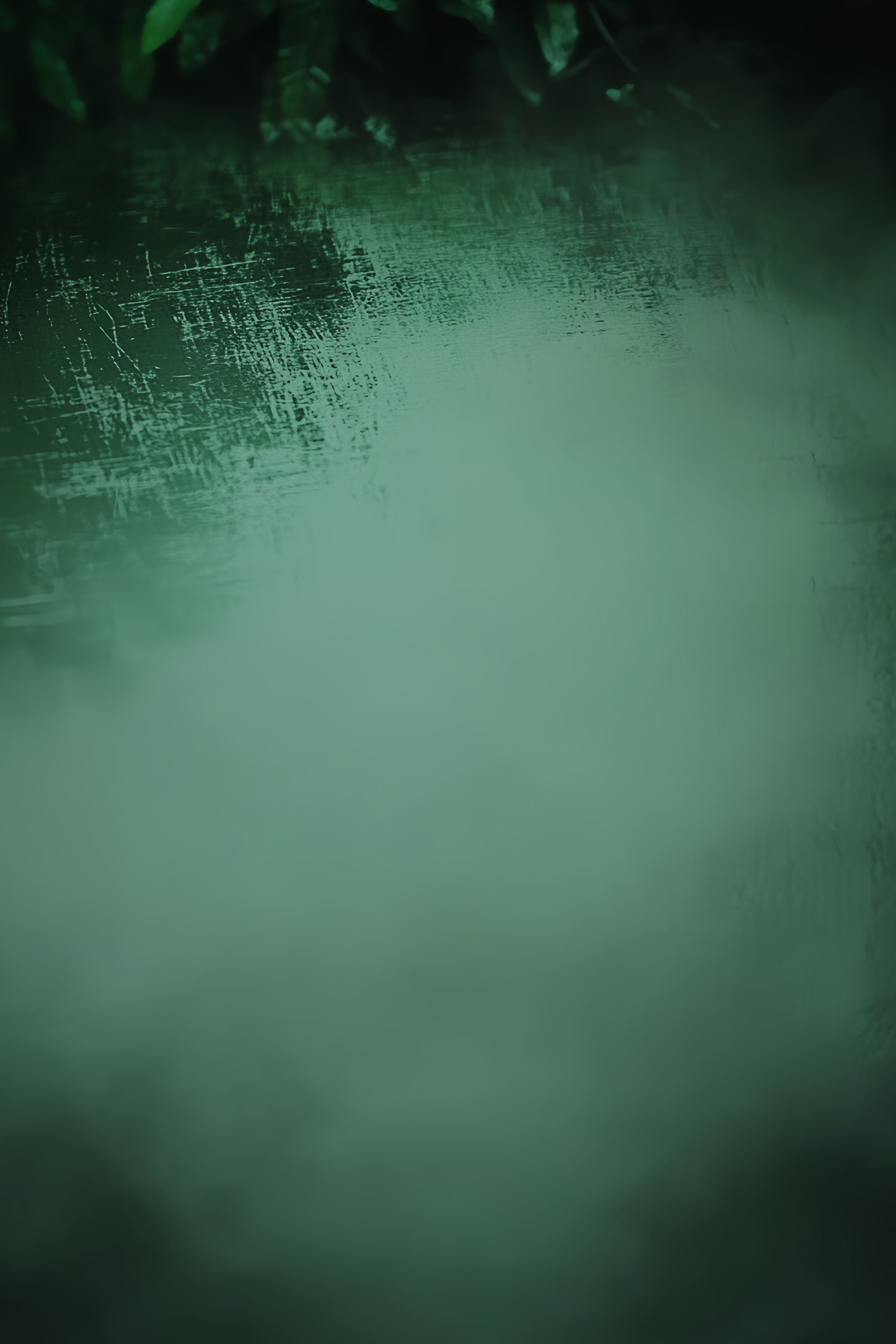 Toile de fond Verte Forêt Foncée Texture Vidéo LXX57-256