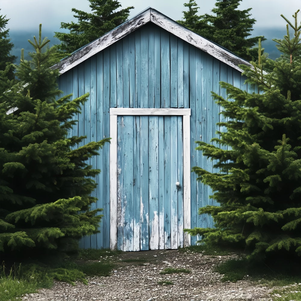 Toile de fond Photo Grange Bleue Forêt LXX57-395