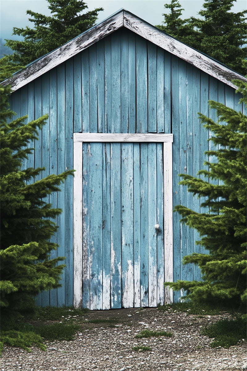 Toile de fond Photo Grange Bleue Forêt LXX57-395