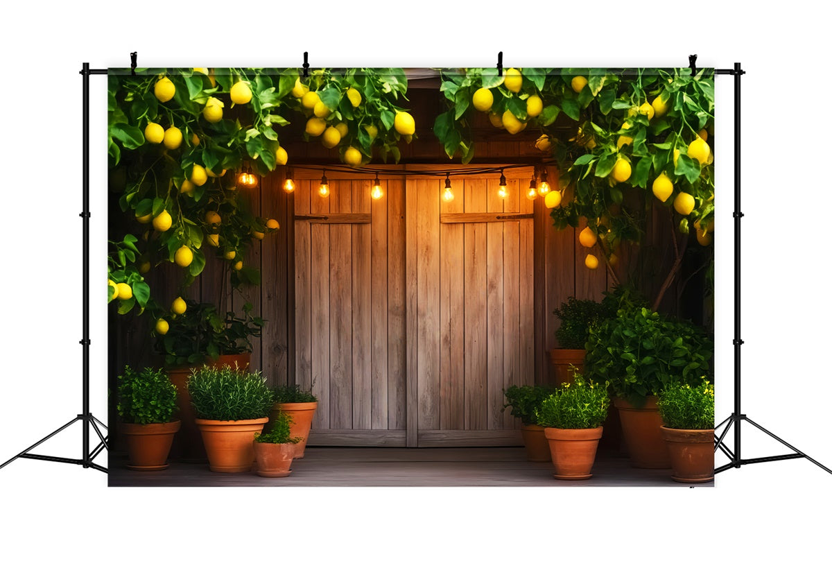 Toile de fond Photo Porte de Grange Porche Citronnier LXX57-413