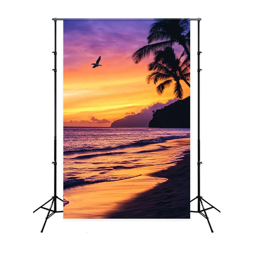 Fond Photo Automne Silhouette Palmier Coucher Soleil Tropical LXX58-163