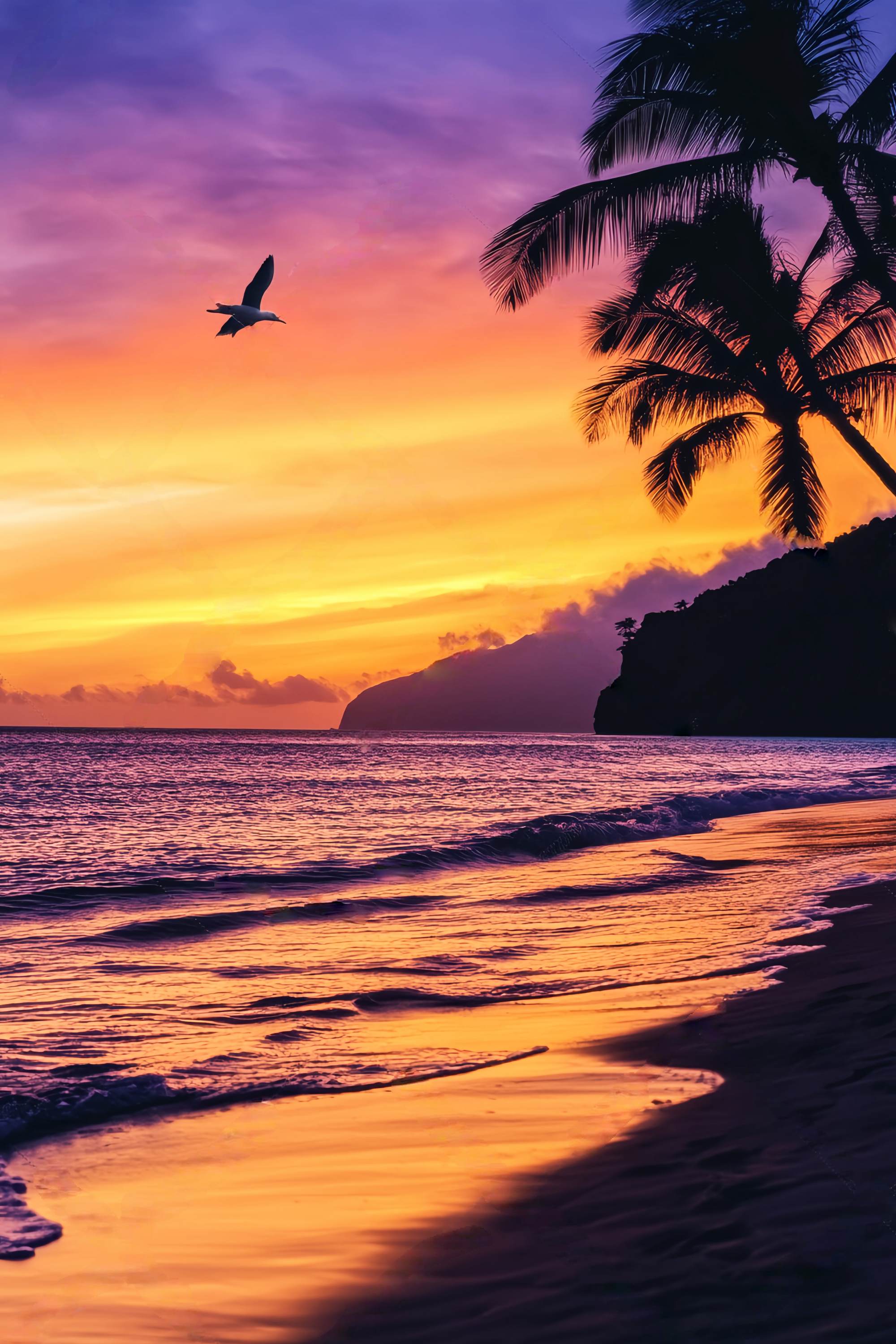 Fond Photo Automne Silhouette Palmier Coucher Soleil Tropical LXX58-163