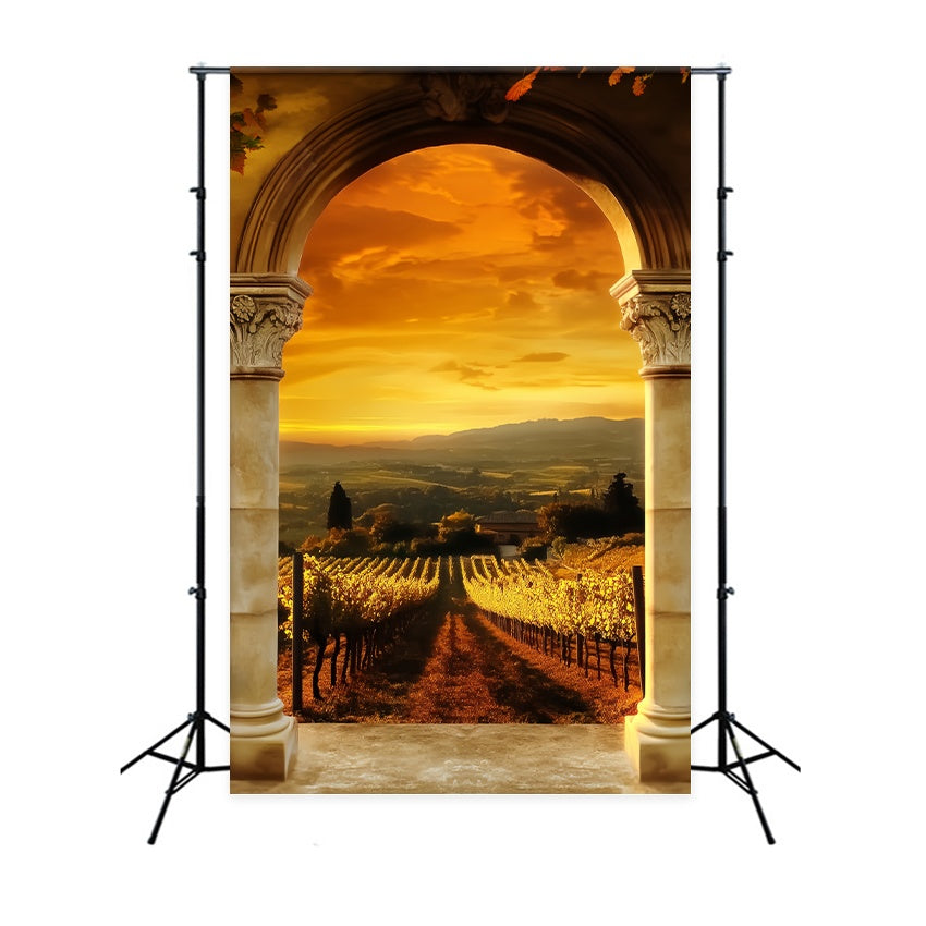 Toile de fond Automne Vue Arc Vignoble Doré LXX58-174