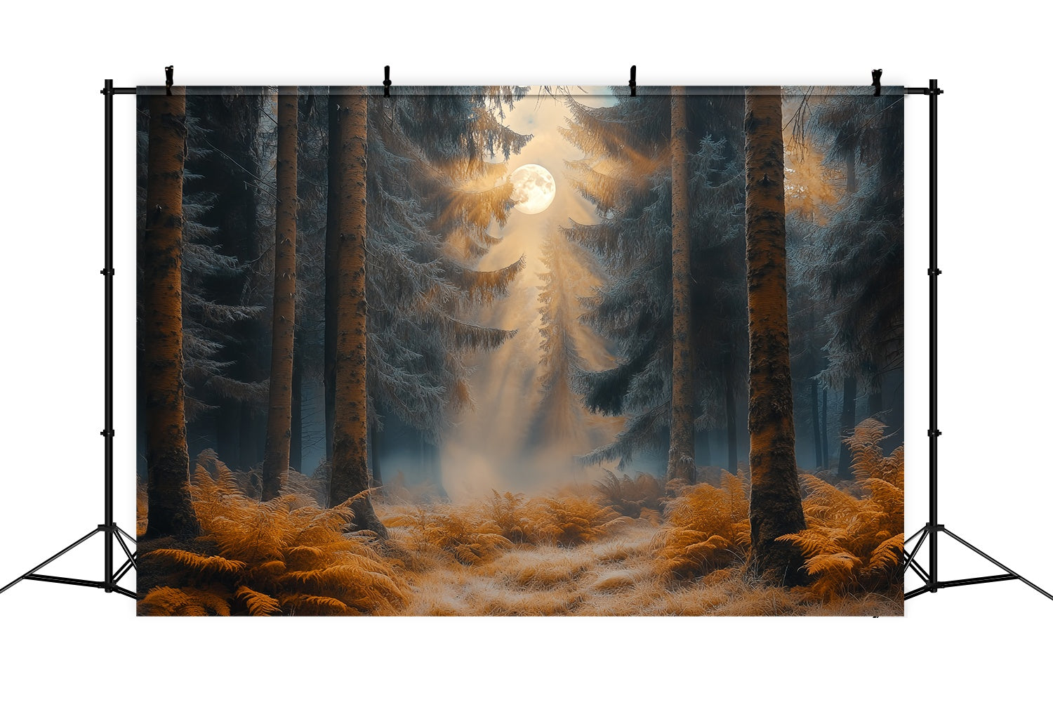 Toile de fond Automne Forêt Automne Enchantée Clair De Lune LXX58-185