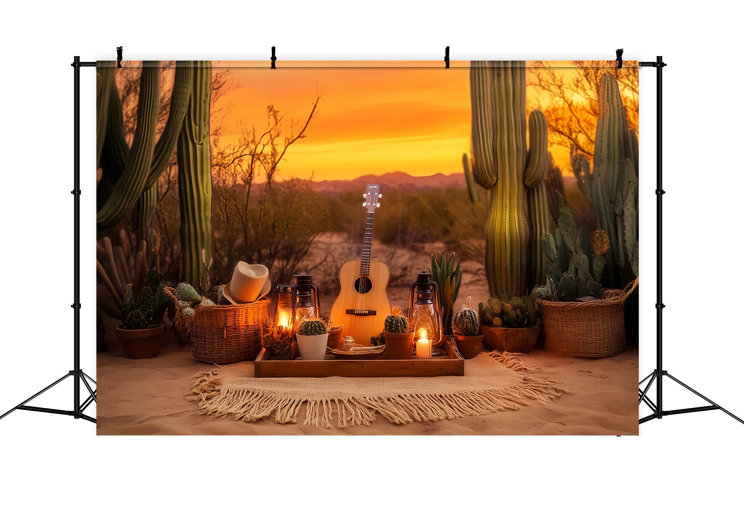 Toile de fond Photo Automne Arrangement Pique-Nique Cactus Coucher Soleil LXX58-194