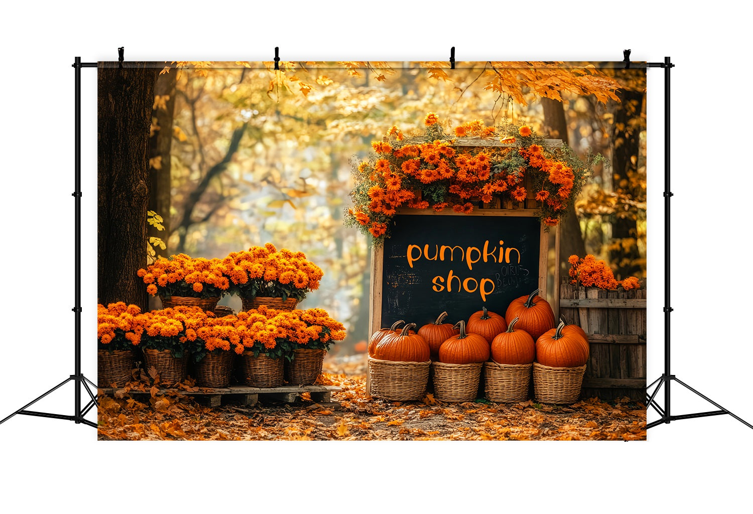 Toile de fond Photo Automne Marché Fleurs Automne Boutique Citrouilles LXX58-215