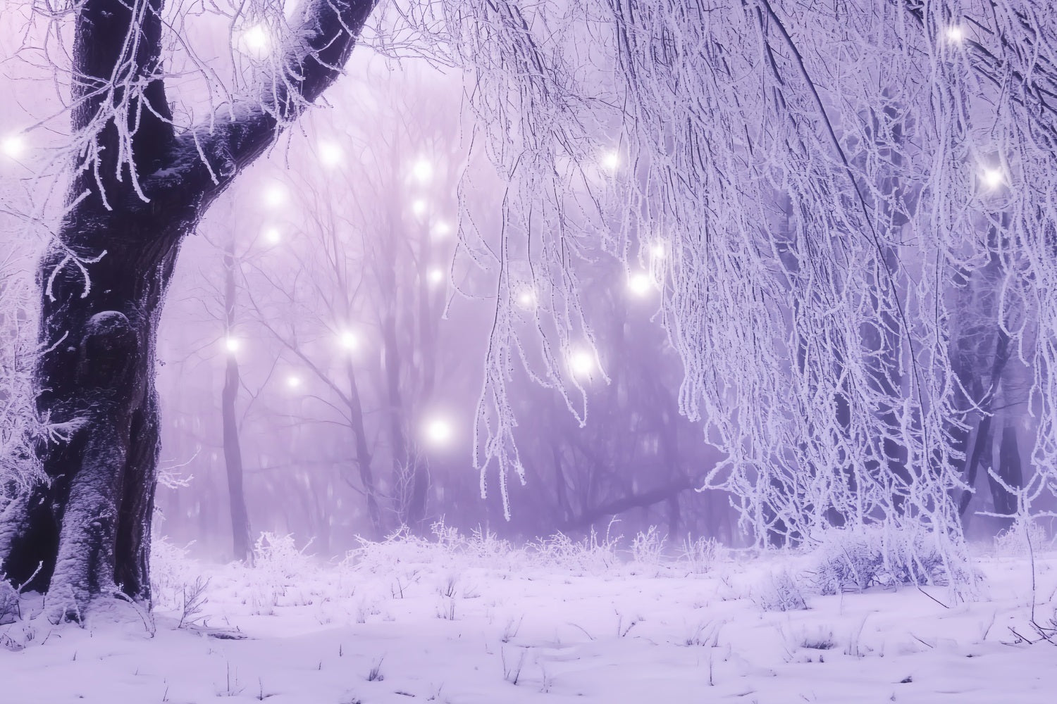Toile de fond Hiver Forêt Enchantée Lumières Glacées CSH58-226