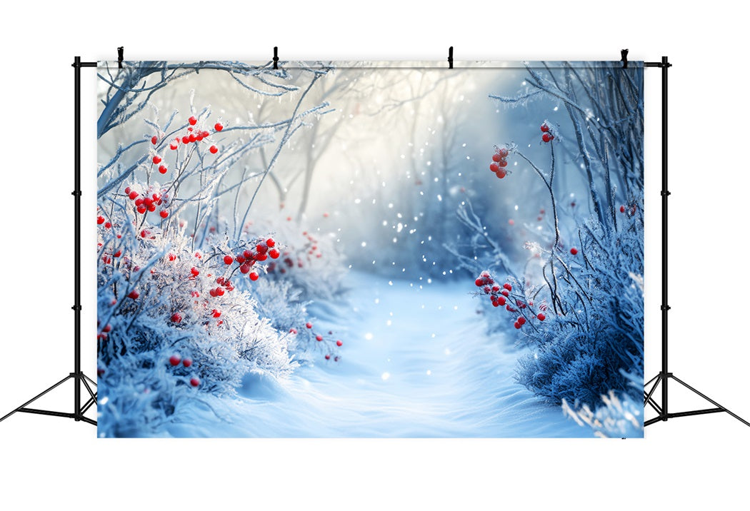 Toile de fond Hiver Sentier Givré et Baies Rouges CSH58-238