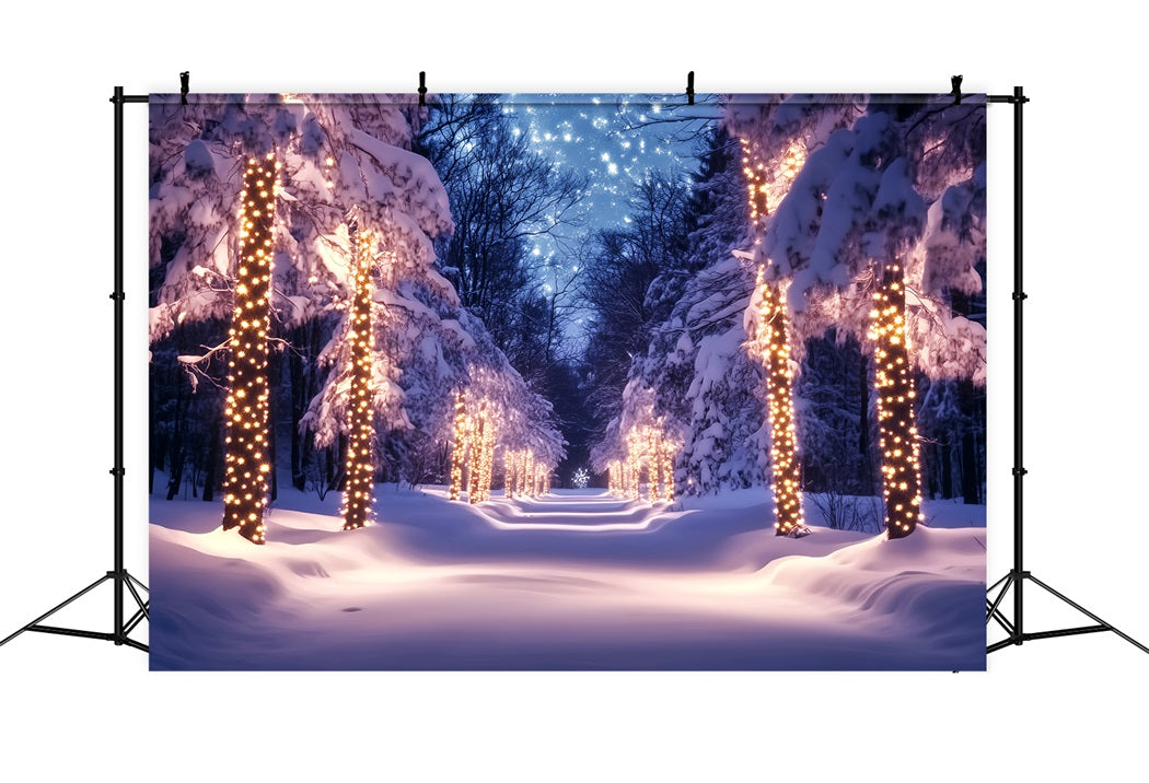 Toile de fond Hiver Chemin Enneigé Lumières Dorées CSH58-241