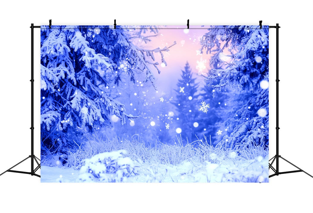 Toile de fond Photo Hiver Givre Bleu Flocons Étincelants CSH58-242