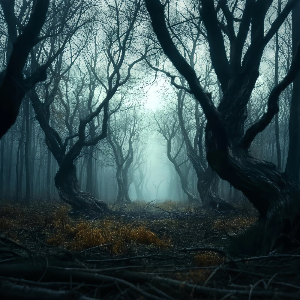 Toile de fond Forêt Hantée Arbres Brume Tordus Sombres Photographie LXX58-273