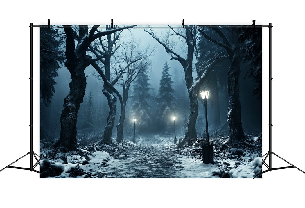 Toile de fond Forêt Hivernale Sentier Neigeux Lueur Lanterne LXX58-274