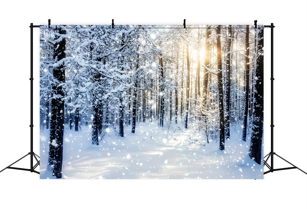 Toile de fond Forêt Enneigée Lever de Soleil Étincelant Bois Hivernal LXX58-276
