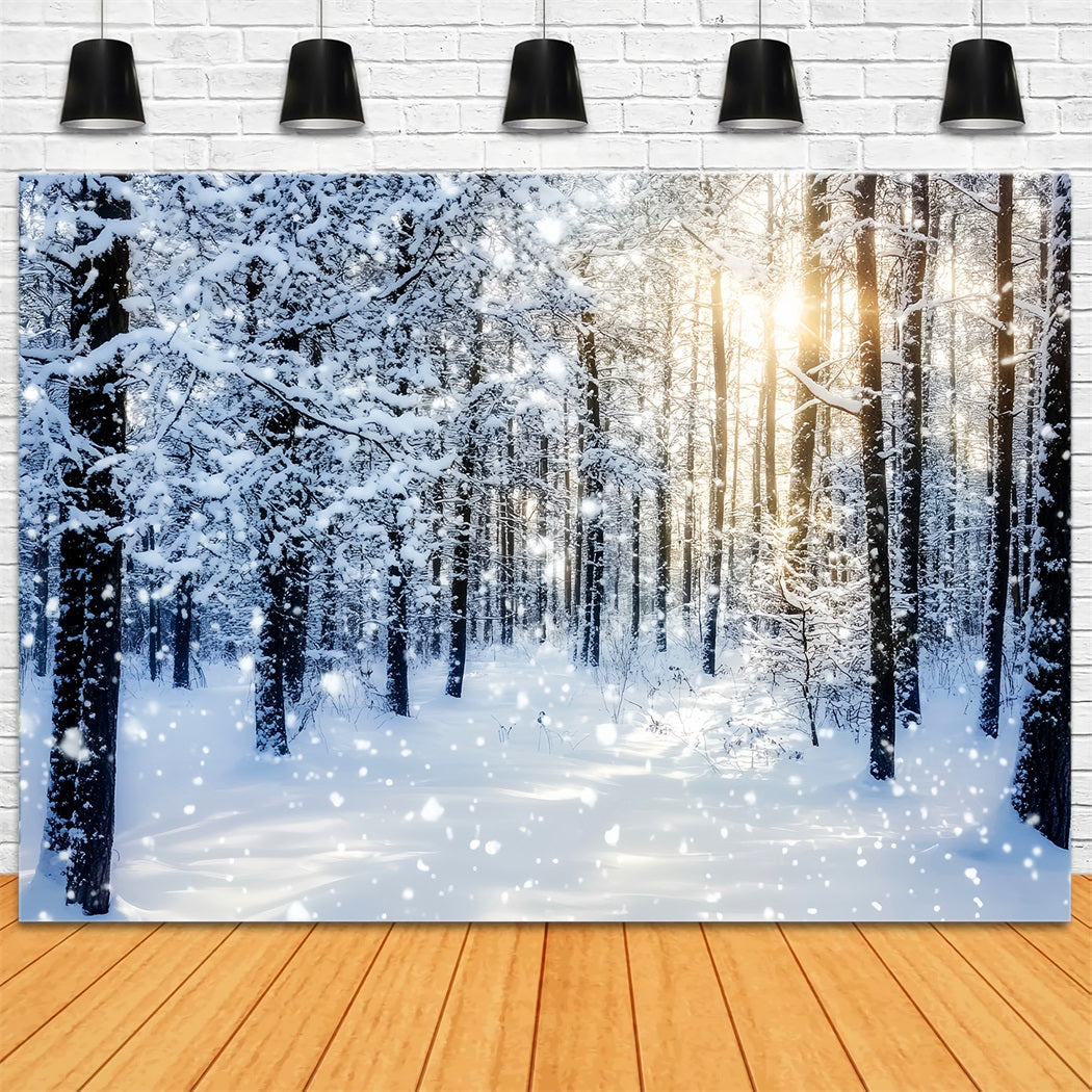 Toile de fond Forêt Enneigée Lever de Soleil Étincelant Bois Hivernal LXX58-276