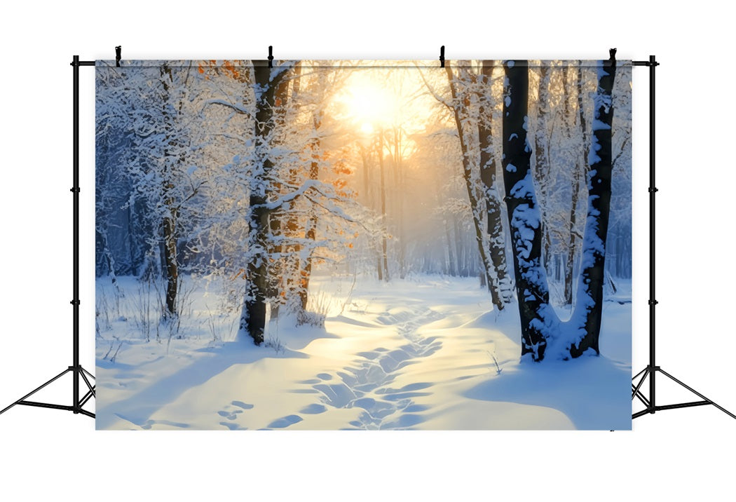 Toile de fond Forêt Hivernale Lever Doré Sentier de Neige LXX58-278