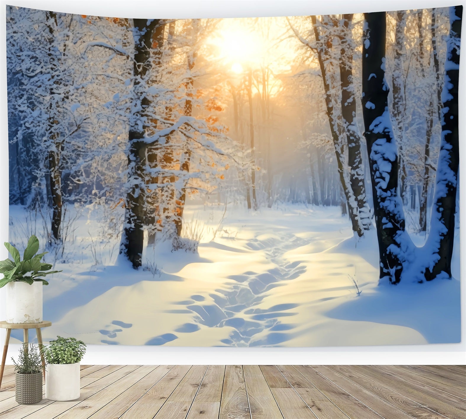 Toile de fond Forêt Hivernale Lever Doré Sentier de Neige LXX58-278
