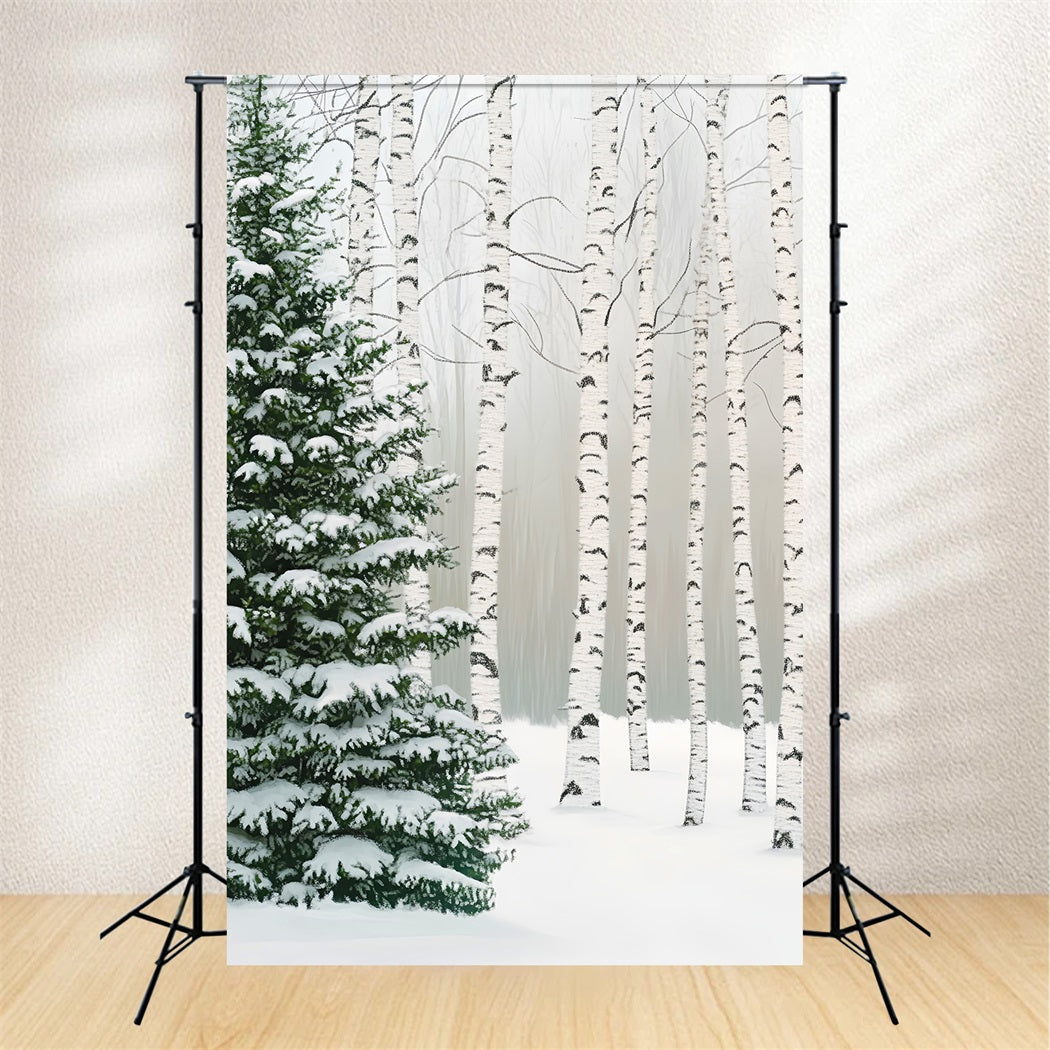 Toile de fond Forêt de Pins Bosquet Bouleaux Neigeux Photographie LXX58-307