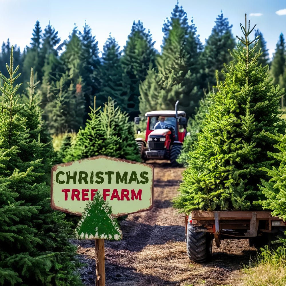 Toile de fond Forêt de Pins Ferme Sapins de Noël Tracteur LXX58-308