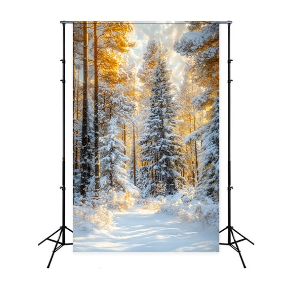 Toile de fond Forêt de Noël Sapins Givrés Lueur Dorée Photo LXX58-309