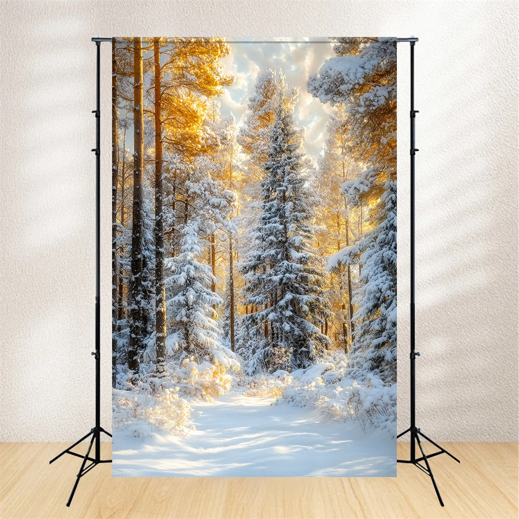 Toile de fond Forêt de Noël Sapins Givrés Lueur Dorée Photo LXX58-309