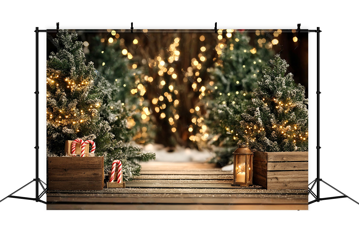 Toile de fond photo Noël Sentier Enneigé et Lumières de Sapin LXX58-77