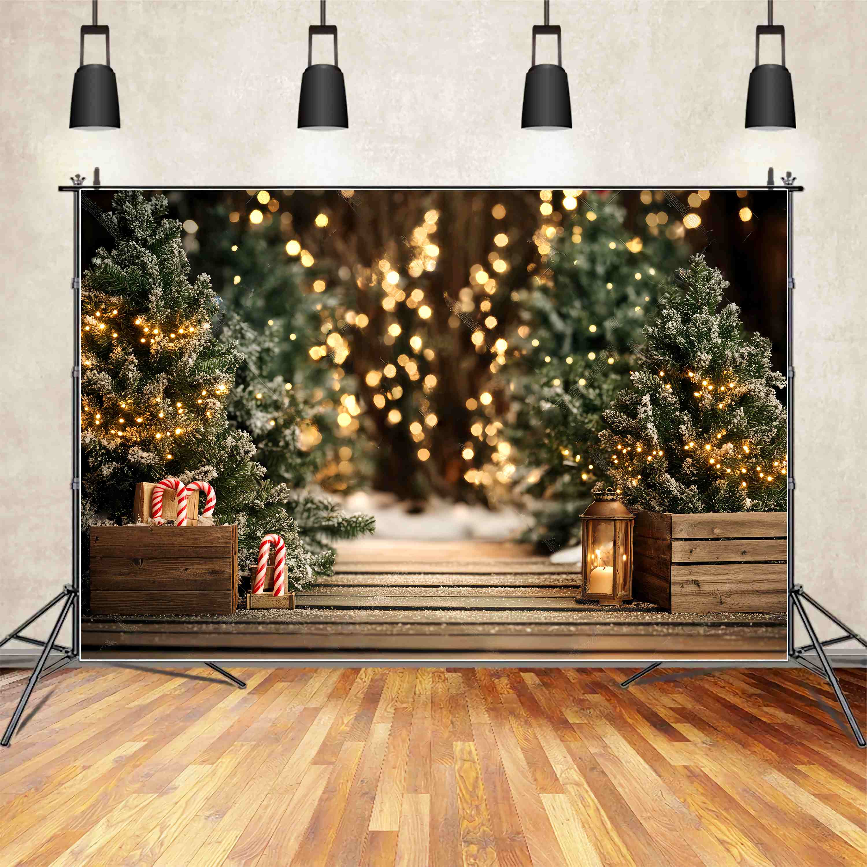 Toile de fond photo Noël Sentier Enneigé et Lumières de Sapin LXX58-77
