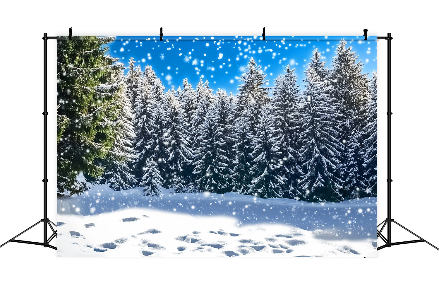 Toile de fond Noël Forêt de Sapins Givrés Étincelante LXX58-88