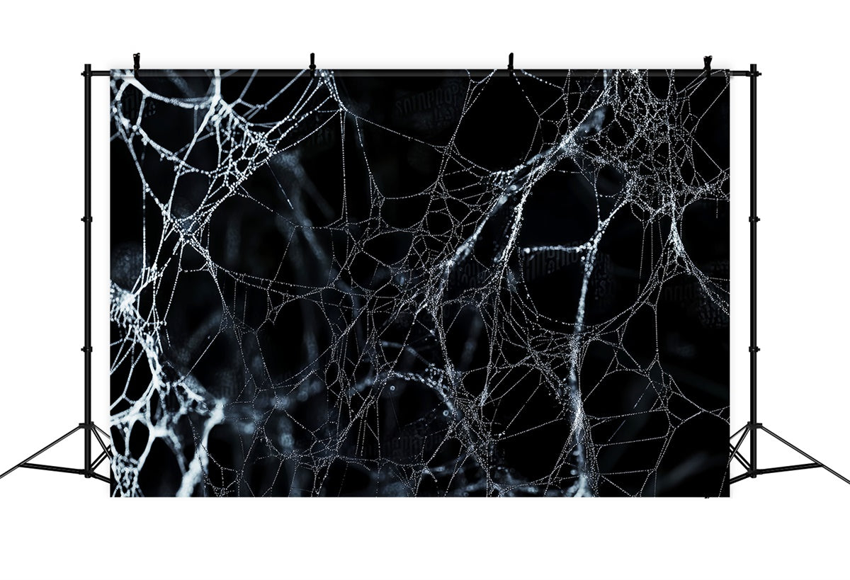 Fond photo halloween Toile d’Araignée Minuit LXX58-9