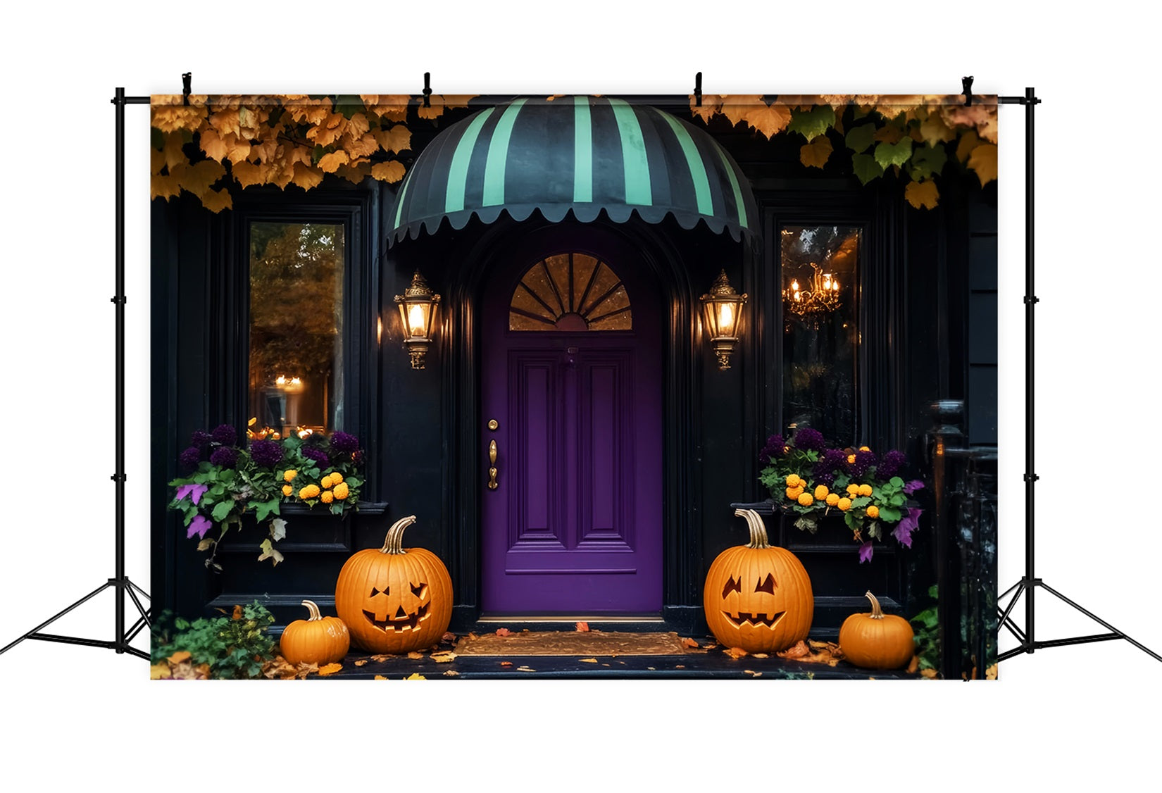 Toile De Fond Photo Halloween Porte Violette Citrouilles Lanternes LXX59-102