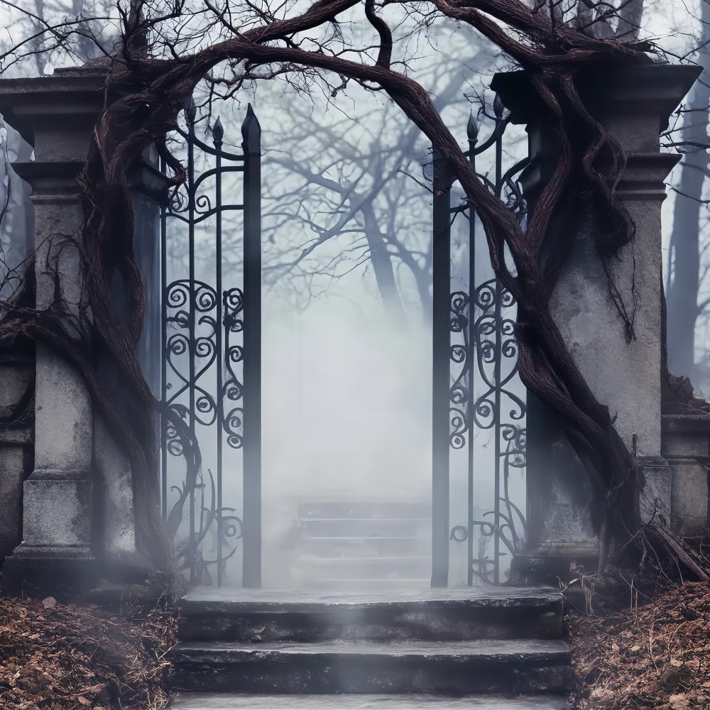 Toile Photo Halloween Forêt Hantée Cimetière Brumeux Portail En Fer LXX59-125