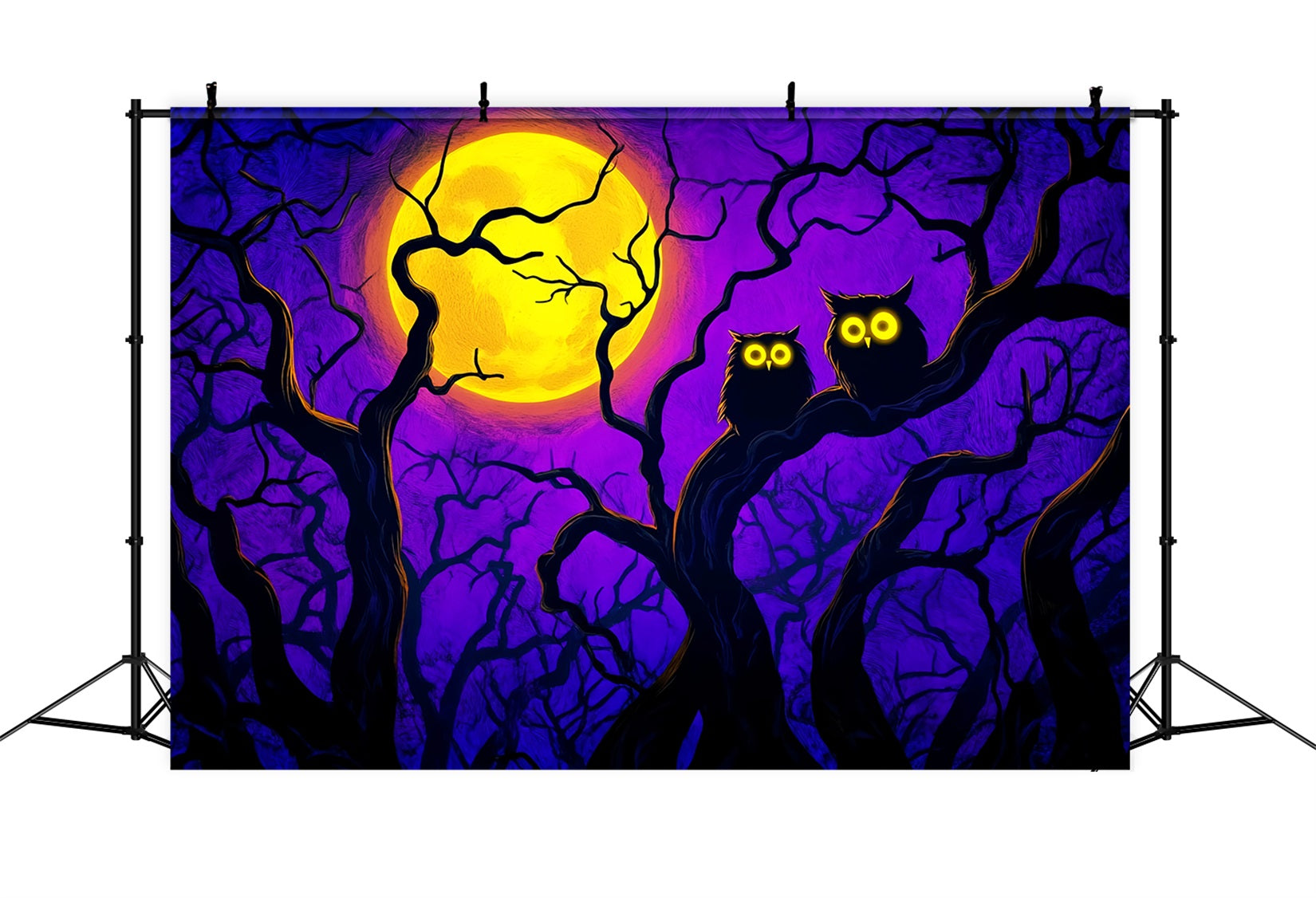 Toile De Fond Halloween Hiboux Clair De Lune Branches LXX59-145