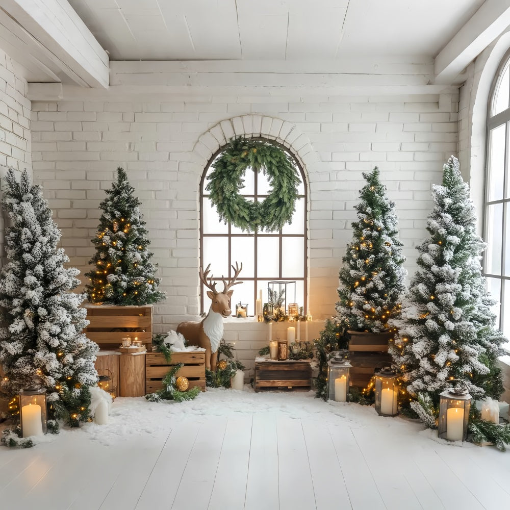Toile de fond Noël Sapin Rustique Rennes Pins Enneigés Lanternes LXX59-170