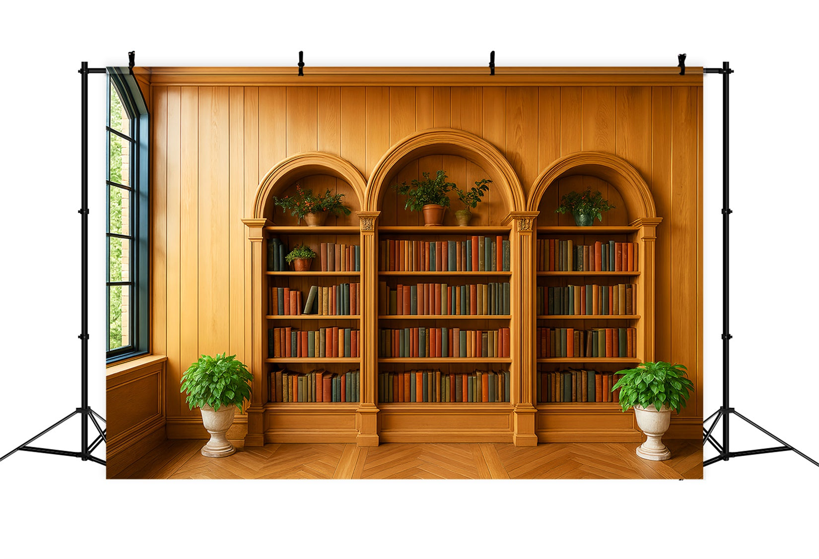 Toile de fond Retour à l'école Bibliothèque Bois Plantes Vertes LXX59-231