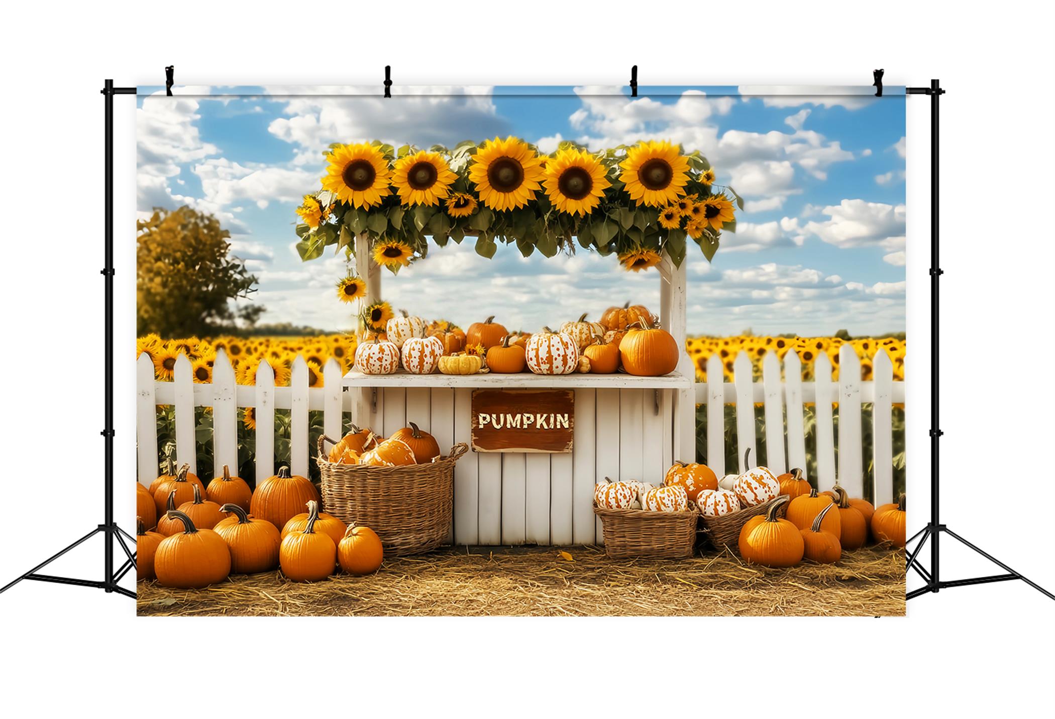 Toile de fond Photo Automne Marché Citrouilles Tournesols Stand LXX59-266